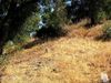 Agoura Road photo